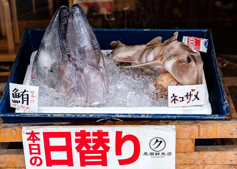 Tsukiji Fish Market