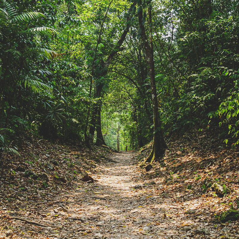 Zona Arqueológica Yaxchilán