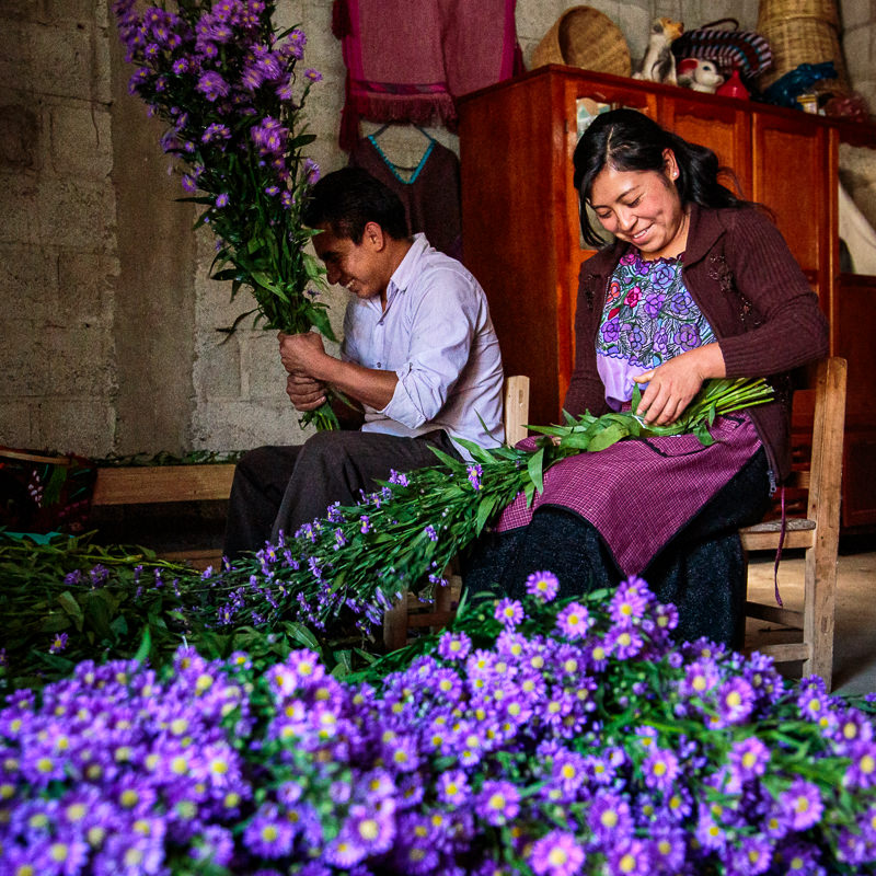 San Lorenzo Zinacantán