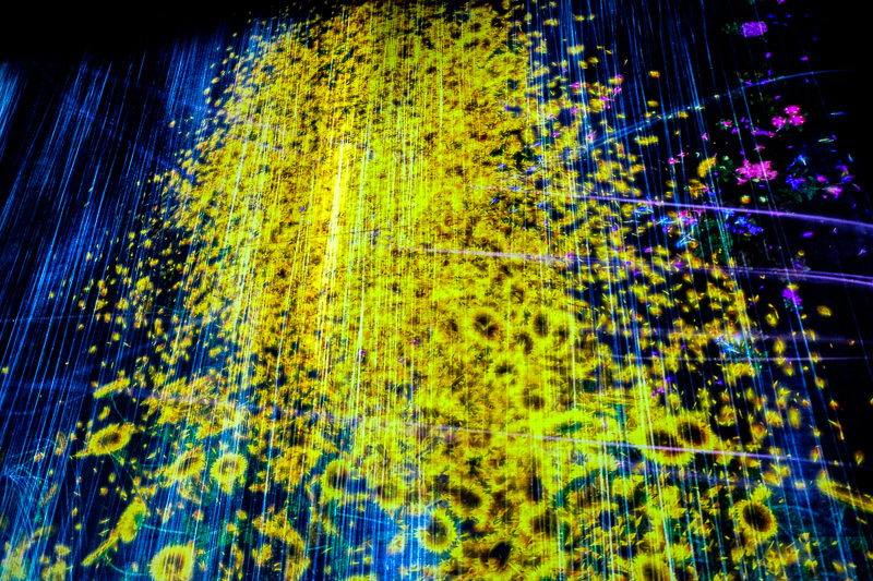 teamLab Borderless - MORI Digital Museum