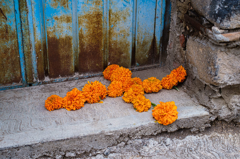 Cruz de Cempasúchil