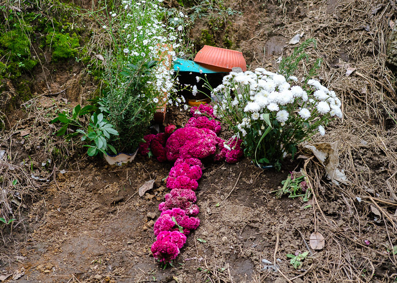Altar para ánima solitaria