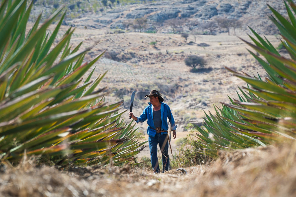 Mezcal Ancestral Herencia de Lucas