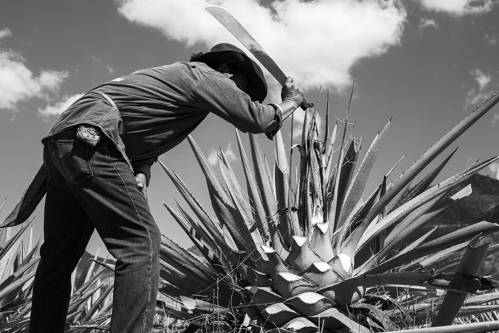 Mezcal Ancestral Herencia de Lucas