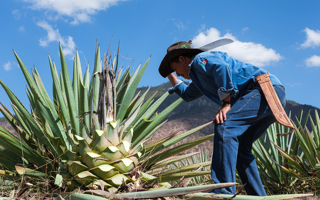 Mezcal Ancestral Herencia de Lucas