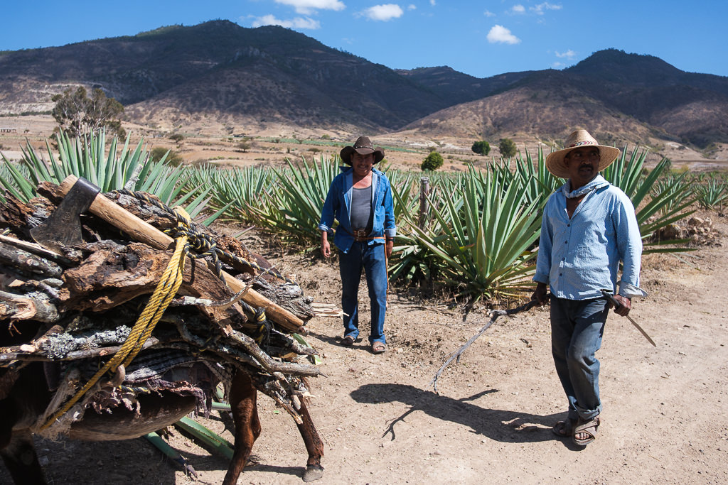 Mezcal Ancestral Herencia de Lucas