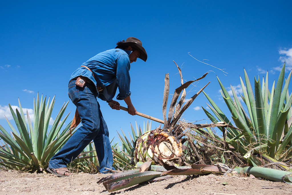 Mezcal Ancestral Herencia de Lucas