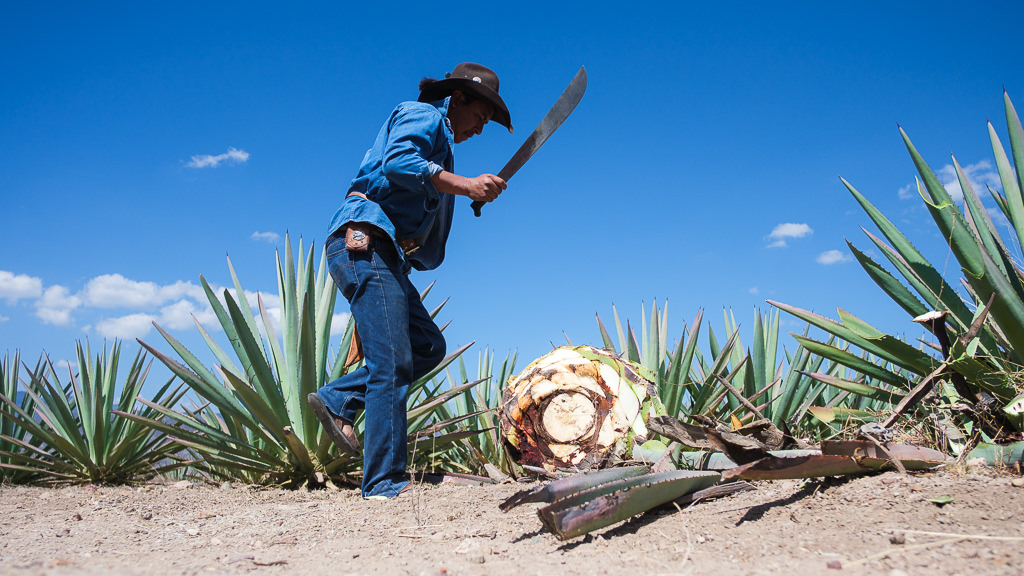 Mezcal Ancestral Herencia de Lucas