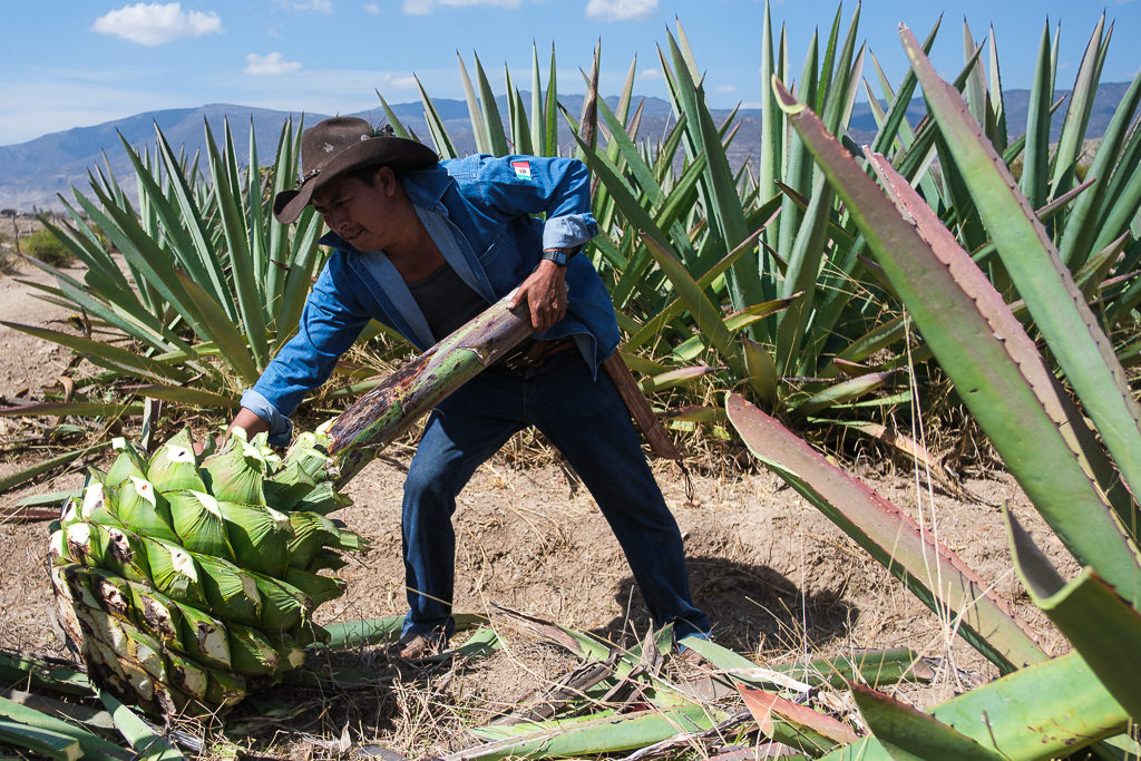 Mezcal Ancestral Herencia de Lucas