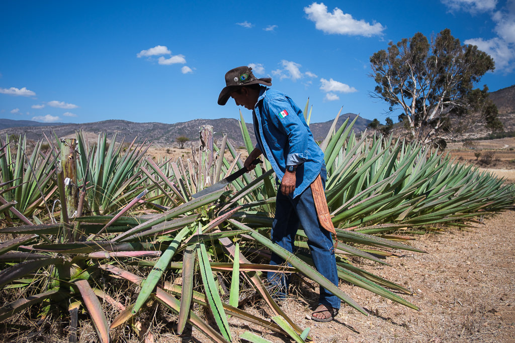 Mezcal Ancestral Herencia de Lucas