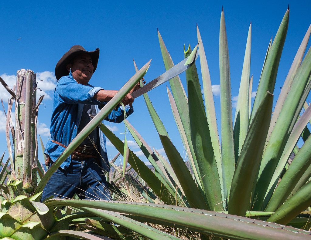 Mezcal Ancestral Herencia de Lucas