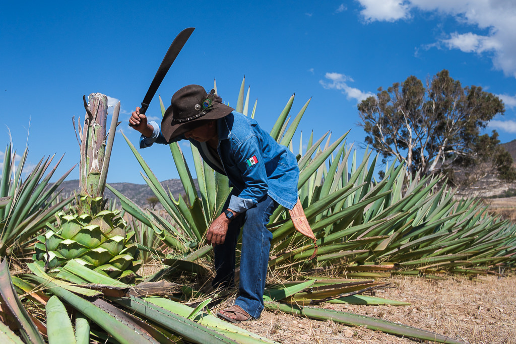 Mezcal Ancestral Herencia de Lucas