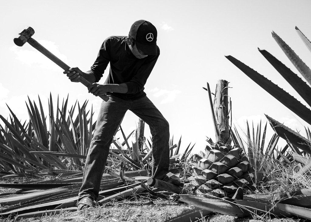 Mezcal Ancestral Herencia de Lucas