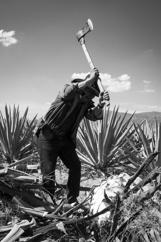 Mezcal Ancestral Herencia de Lucas