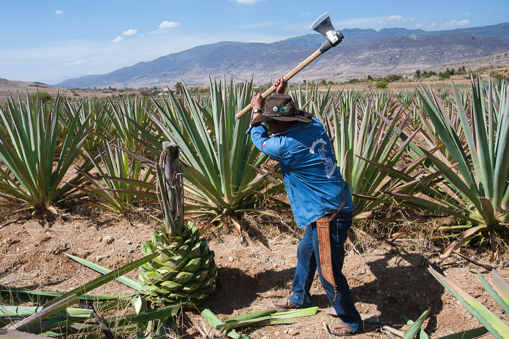 Mezcal Ancestral Herencia de Lucas