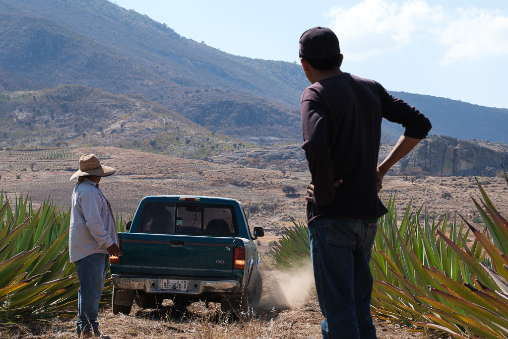 Mezcal Ancestral Herencia de Lucas