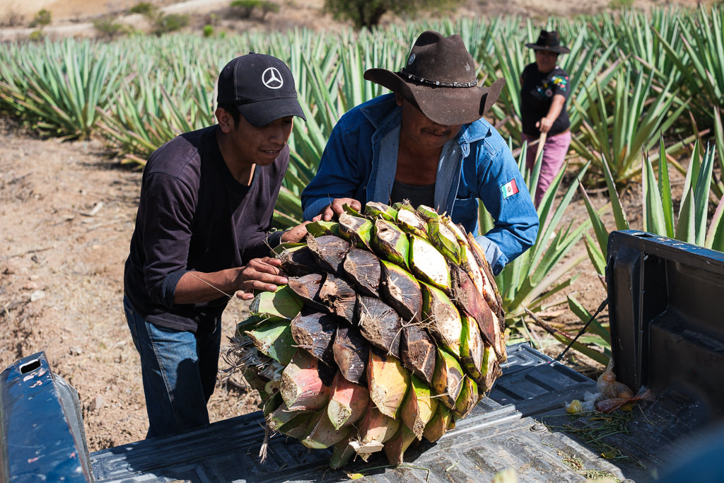 Mezcal Ancestral Herencia de Lucas