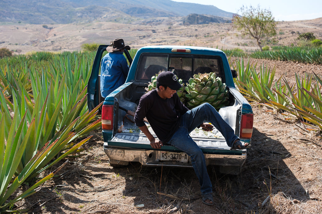 Mezcal Ancestral Herencia de Lucas