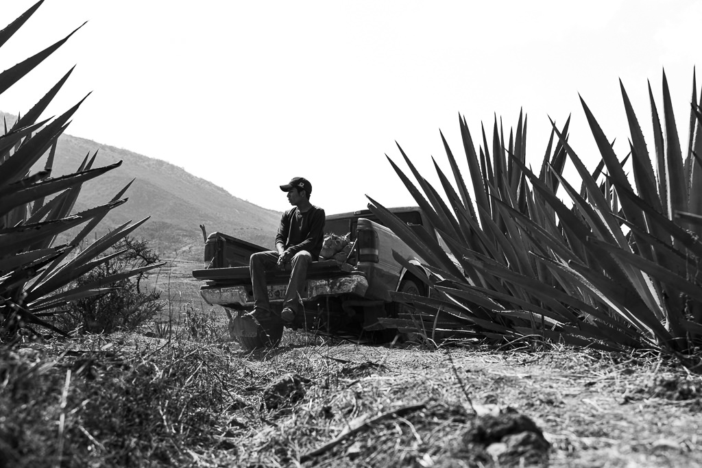 Mezcal Ancestral Herencia de Lucas