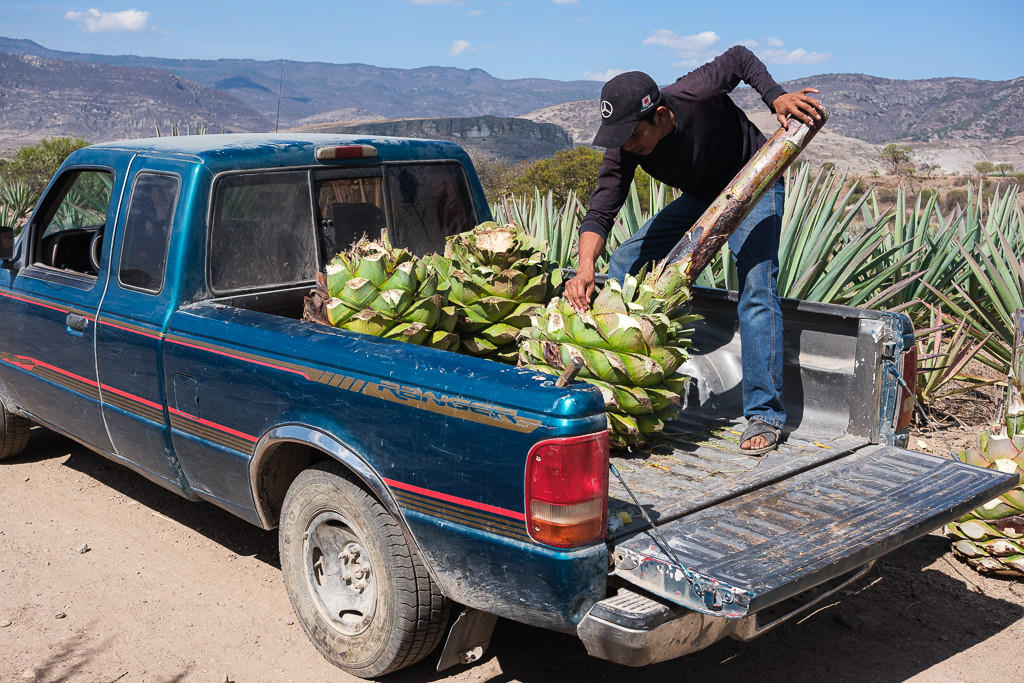 Mezcal Ancestral Herencia de Lucas