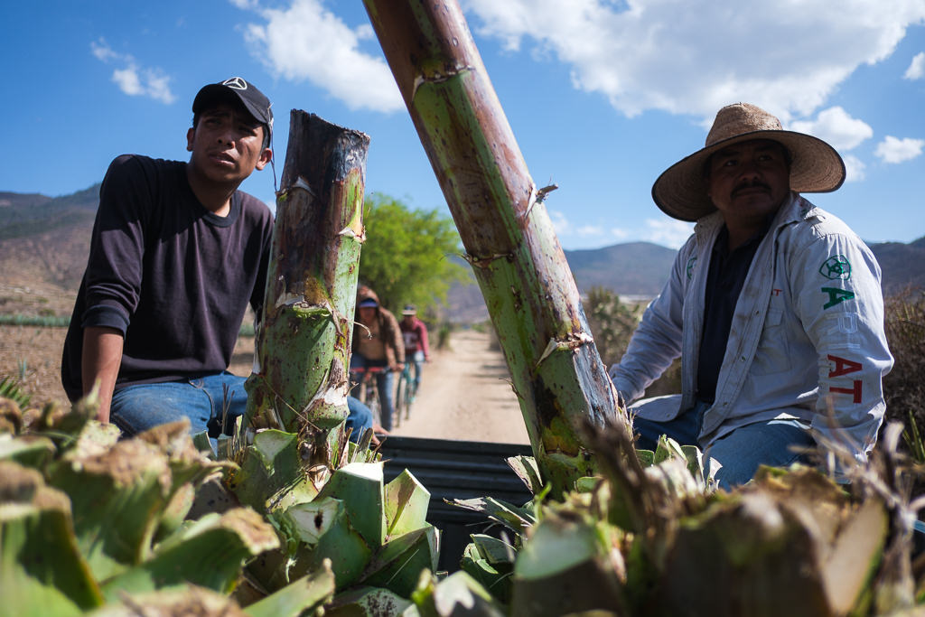 Mezcal Ancestral Herencia de Lucas