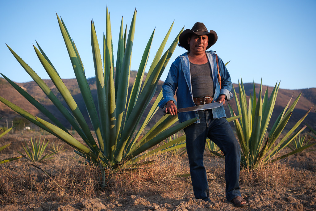 Mezcal Ancestral Herencia de Lucas