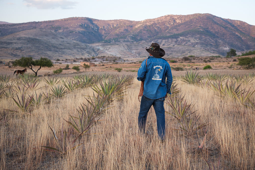 Mezcal Ancestral Herencia de Lucas