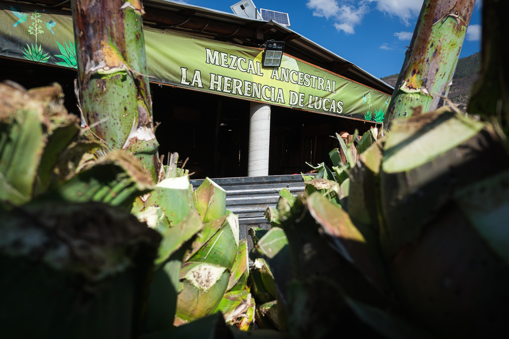 Mezcal Ancestral Herencia de Lucas