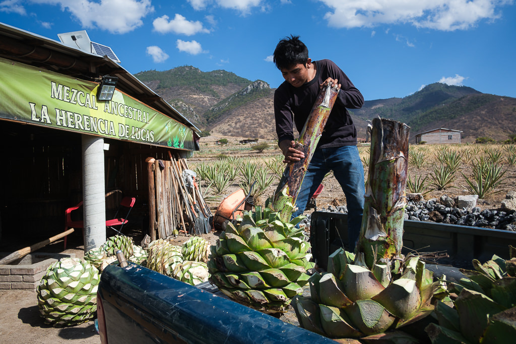 Mezcal Ancestral Herencia de Lucas
