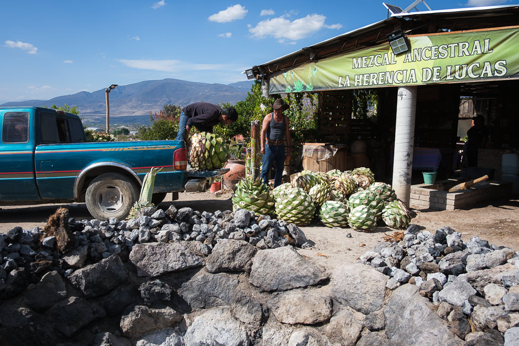 Mezcal Ancestral Herencia de Lucas