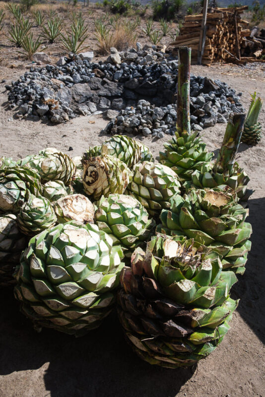 Mezcal Ancestral Herencia de Lucas