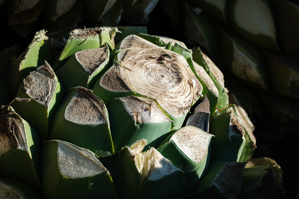 Mezcal Ancestral Herencia de Lucas