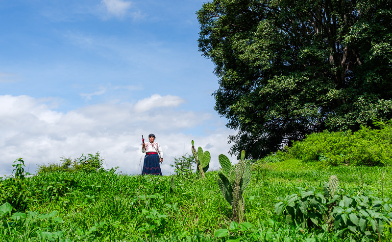Guelaguetza Reyes Etla