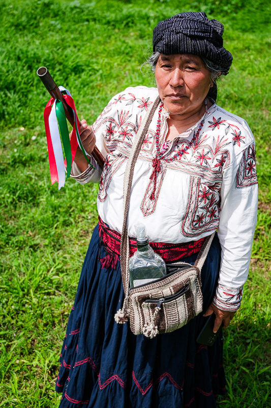 Guelaguetza Reyes Etla