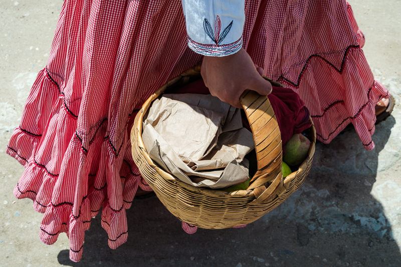 Guelaguetza Reyes Etla