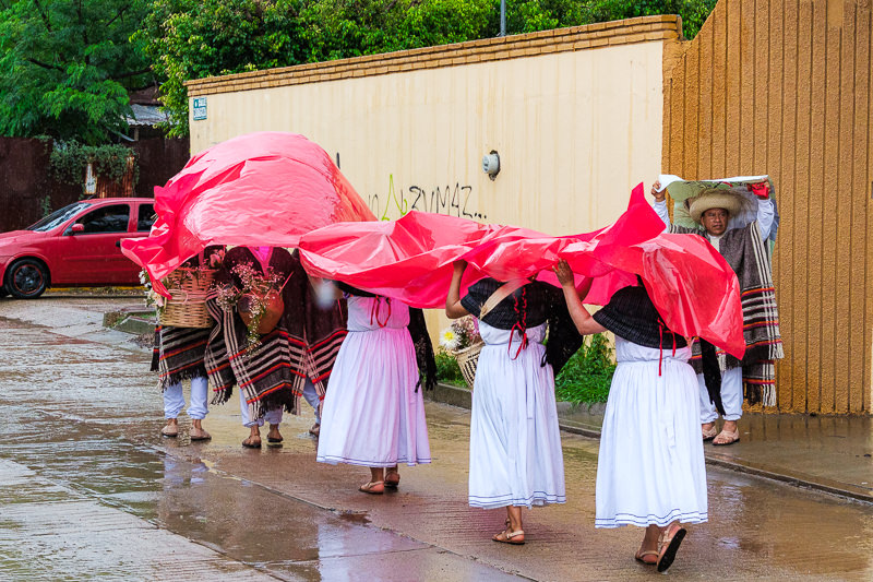 Guelaguetza San Antonino Castillo Velasco