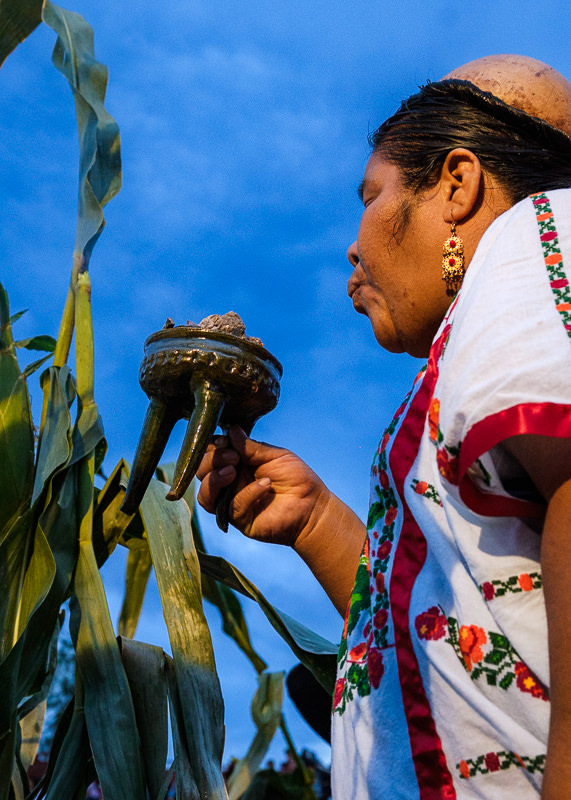 Guelaguetza San Antonino Castillo Velasco