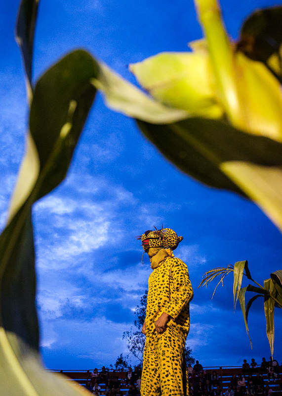 Guelaguetza San Antonino Castillo Velasco