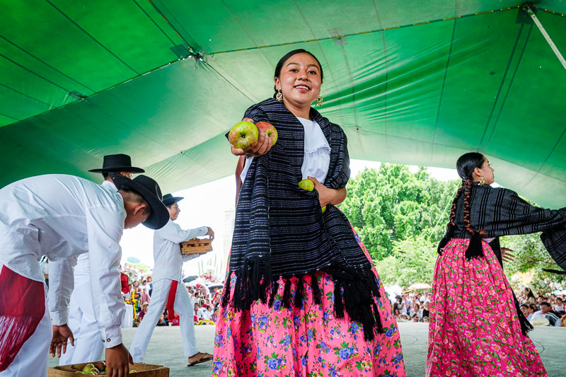Guelaguetza Reyes Etla