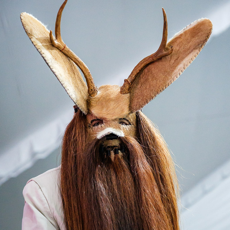 Guelaguetza Soledad Etla