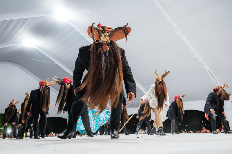 Guelaguetza Soledad Etla