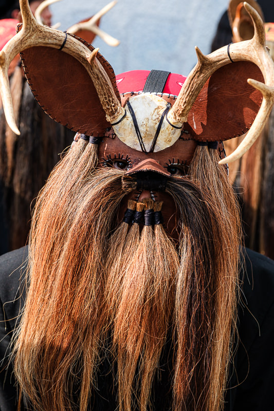 Guelaguetza Soledad Etla