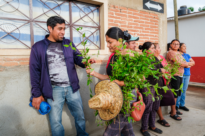 Guelaguetza Zimatlán de Álvarez